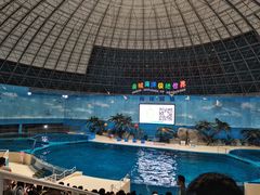 -泉城欧乐堡海洋极地世界