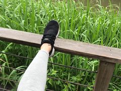 -新江湾城公园