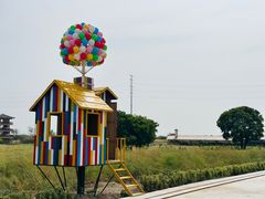 -杭州湾海上花田景区