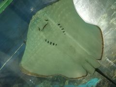-福州罗源湾海洋世界旅游区