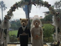 -济州岛泰迪熊博物馆