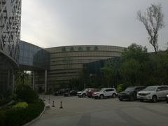 -德州凤冠假日酒店