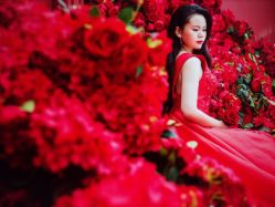 -金夫人婚纱摄影(华南店)