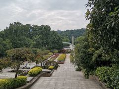 -南山植物园