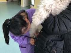 -瑞鹏宠物医院·爱宠堂·骨外专科(西荷分院)