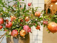 -晓寿司·精致料理(绿地店)