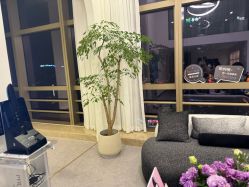 -JNK皮肤管理中心