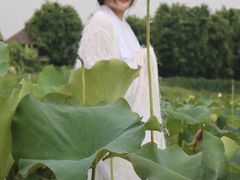 -光明小镇欢乐田园