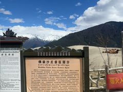 -佛掌沙丘