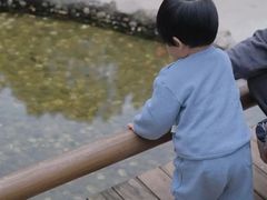 -蒙蒙狮蒙台梭利儿童之家