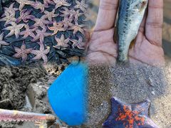 -巧克力渔家.小船海鲜家常菜(万平口店)