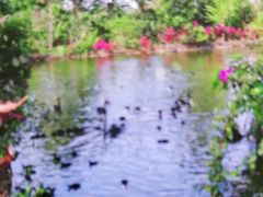 -海南热带野生动植物园