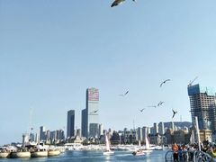 -东港音乐喷泉广场