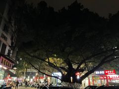 -古茗(鹿城西城路店)