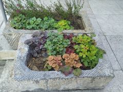 -挚友(东四二条)