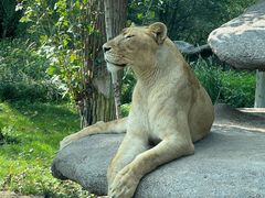 -北京野生动物园