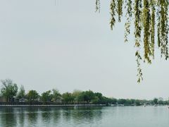 -后海公园