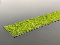 -重庆彩云湖湿地公园