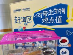 -好燃时刻潮玩运动馆·儿童乐园·室内游乐场·团建