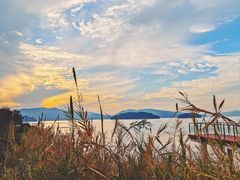 -逸廊大堂吧-下午茶·简餐-千岛湖自由洲际殿