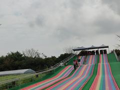 -长洲岛都市农业公园
