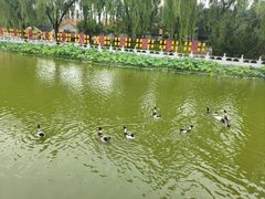 -大明幻境第一城