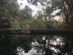 -浙江大学(玉泉校区)