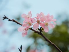 -小南山公园