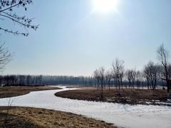 -东郊湿地公园