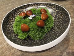 -鹿园 MOOSE(长宁店)