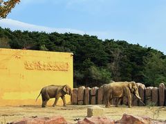 -沈阳森林动物园