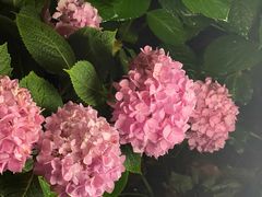 -常州古运河南大街文化旅游区-人民公园