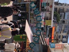 -猫咪博物馆(顶澳仔猫街店)