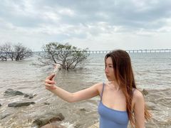 -宝安西湾红树林湿地公园