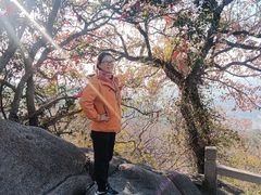 -灵岩山风景区