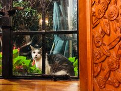 -马勒别墅·中餐厅