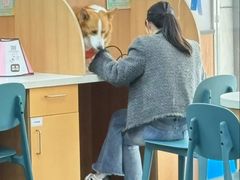 -联合动物医院(光谷诊疗中心)