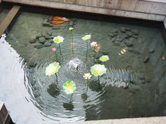 -同心楼(解放北路店)