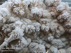 -湖南省地质博物馆