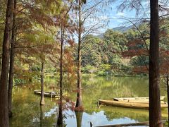 -深圳仙湖植物园