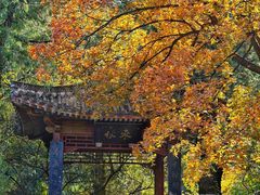 -香山公园