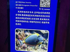 -福州罗源湾海洋世界旅游区