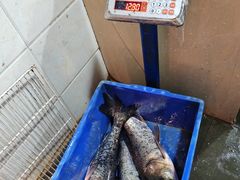 -老哥门肥肠鱼(鱼嘴店)