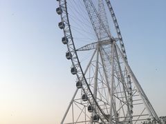 -祥源·阜阳生态乐园