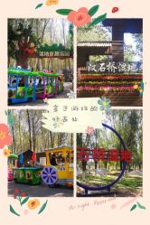 -汉石桥湿地童趣乐园