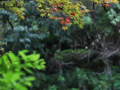 -桂林古东瀑布景区