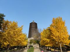 -玲珑塔公园