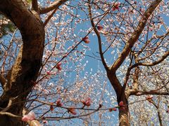 -长春公园(普阳街道)