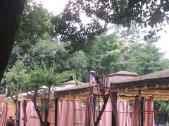 -柴院·柴火鸡
