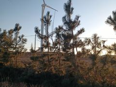 -威海大水泊国际机场